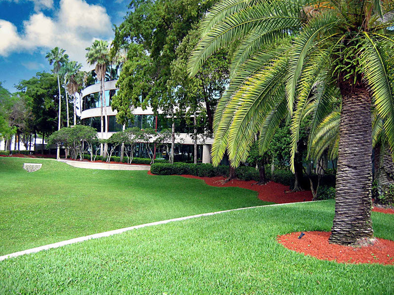 Boca Raton Office