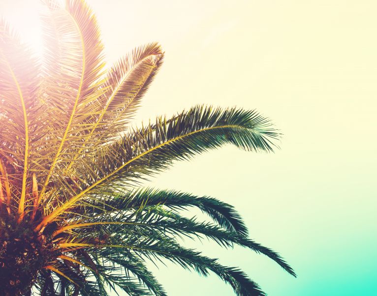 Florida’s Fiduciary Lawyer-Client Privilege Adopted by the Florida Supreme Court