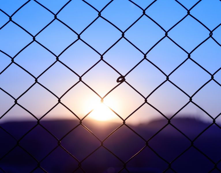 Pro Bono for Immigrant Families: Protecting Access to Counsel