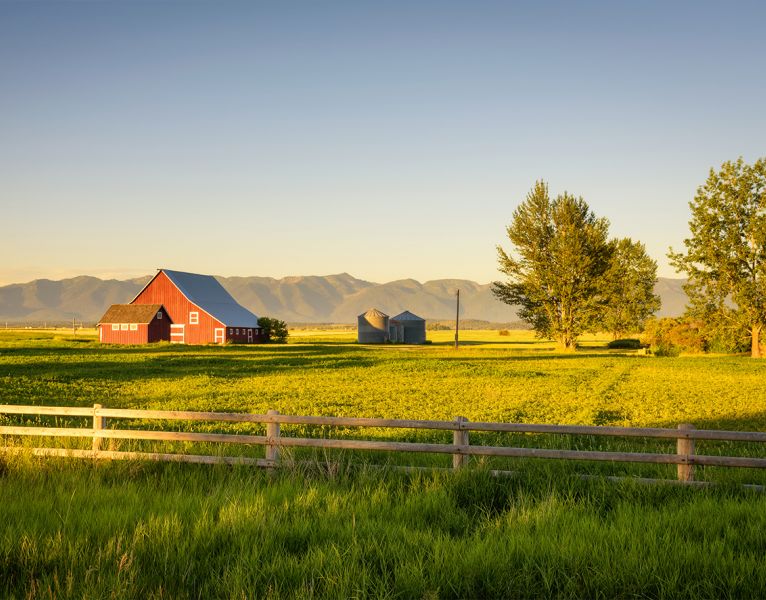 Proskauer Secures Defense Win for Sanderson Farms in $7 Billion Antitrust Jury Trial