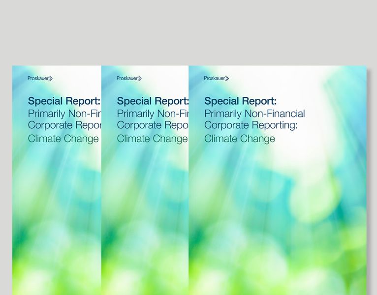 Primarily Non-Financial Corporate Reporting: Climate Change