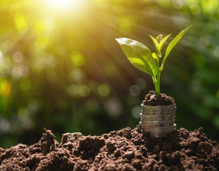 The SEC Adopts Extensive Climate Change Disclosure Rules