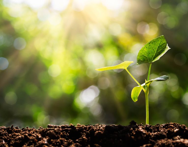 Court Temporarily Stays New SEC Climate Change Disclosure Rules Amidst Widening Legal Challenges